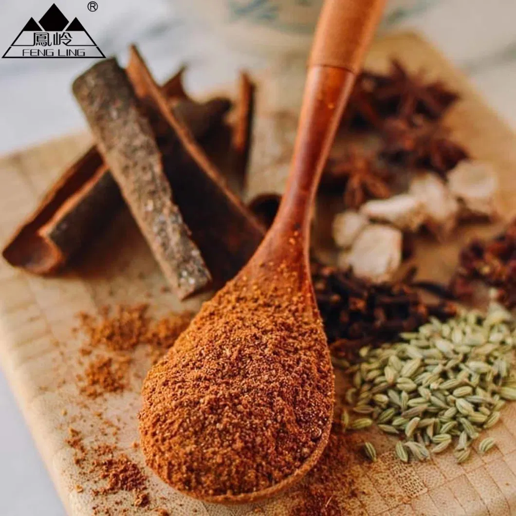 Chinese Traditional Seasoning Five Spice Powder/High Quality Five Spice Powder Supplier