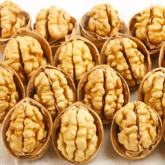 Дешевая оптовая цена Высококачественные грецкие орехи Chandler Inshel Walnuts