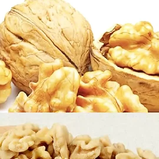 Оптовая цена Высокое качество грецкого ореха в скорлупе бумажной скорлупы грецкого ореха 185/Xingfu/Xiner/33